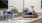 a sink with a basket and plants