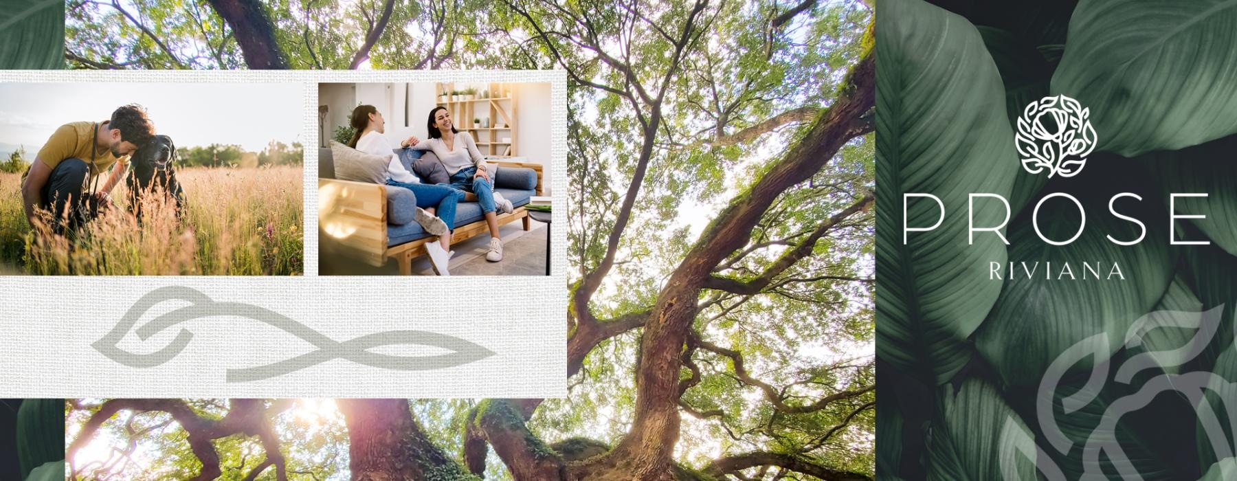 edited image showing a mix of nature, people interacting socially and modern interiors