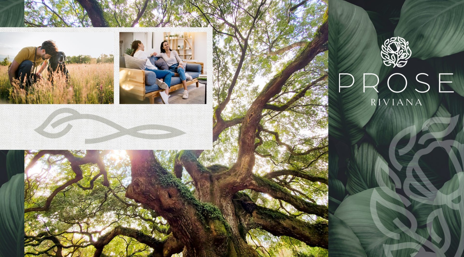 edited image showing overlays of community features