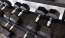 rows of dumbells